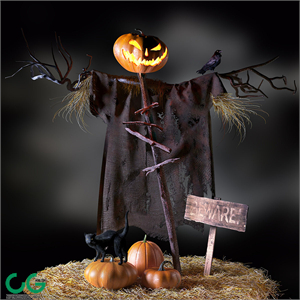 Jack o Lantern